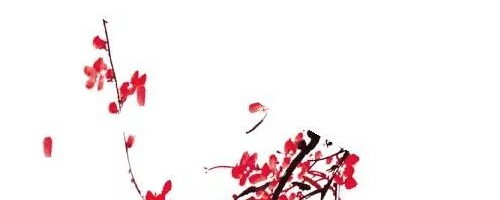 美萊塢醫(yī)美秀色可餐——面部年輕化提升的是輪廓，降低的是年齡