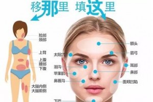 自體脂肪填充，將脂肪變廢為寶！自體脂肪的成活率高嗎