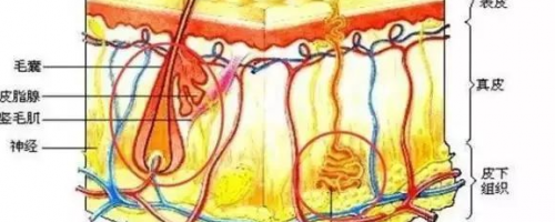 夏天來(lái)啦：激光脫毛疼不疼？要做幾次？