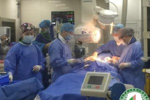 重慶西南醫(yī)院整形科醫(yī)生有哪些？實力醫(yī)生介紹