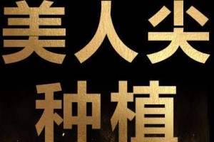 上海華美醫(yī)院植發(fā)中心怎么樣附全新價格表(價目表)