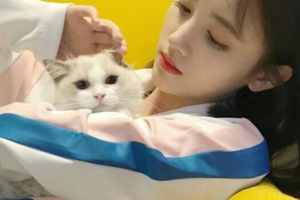 鄭州中韓順美眼鼻整形美容整形價(jià)格表一覽及醫(yī)院介紹