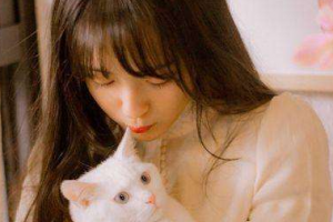 韓國ACE整形醫(yī)院整形價格表(價目表)一覽及醫(yī)院介紹