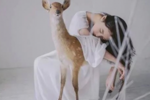 遼陽市中心醫(yī)院燒傷整形軟傷感染外科整形價(jià)格表(價(jià)目表)一覽及醫(yī)院介紹