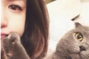 愛整形外科醫(yī)院整形價格表(價目表)一覽及醫(yī)院介紹