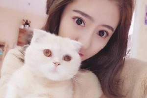 天津康佳美醫(yī)院整形美容中心整形價格表(價目表)2020全新發(fā)布