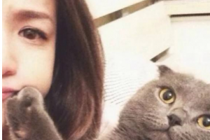 深圳市南山人民醫(yī)院整形美容科整形價(jià)格表(價(jià)目表)2020全新發(fā)布