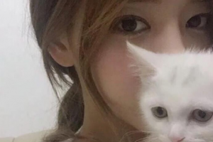 美奇醫(yī)療美容外科門診整形價格表(價目表)一覽及醫(yī)院介紹