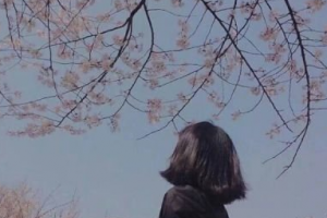 太原晉容美容整形醫(yī)院整形價格表(價目表)2020全新發(fā)布