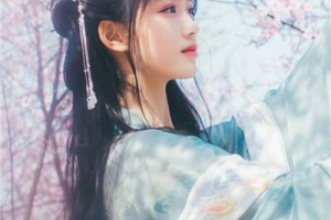 成都美雅娜醫(yī)療整形美容醫(yī)院整形價(jià)格表(價(jià)目表)2020全新發(fā)布