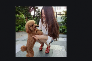 成都正好美容整形醫(yī)院整形價格表(價目表)2020全新發(fā)布