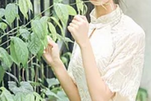 哈爾濱醫(yī)科大學(xué)附屬第一醫(yī)院整形科整形價(jià)格表(價(jià)目表)2020全新發(fā)布