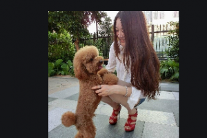 貴州都勻利美康醫(yī)療美容整形醫(yī)院整形價格表(價目表)2020全新發(fā)布