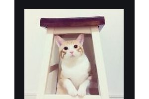 2020海南省農(nóng)墾總局醫(yī)院整形價(jià)格表(價(jià)目表)全新發(fā)布