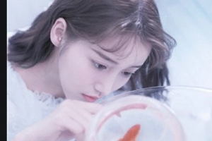 2020鄭州市中醫(yī)院整形美容科整形價格表(價目表)全新發(fā)布