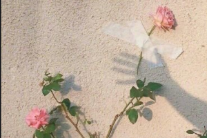 2020成都米亞醫(yī)療美容診所整形價(jià)格表(價(jià)目表)全新發(fā)布