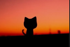 2020成都臻瑞雅緹麗膚醫(yī)療美容診所整形價(jià)格表(價(jià)目表)全新發(fā)布