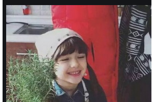 2020成都拉斐爾口腔門診部整形價格表(價目表)全新發(fā)布