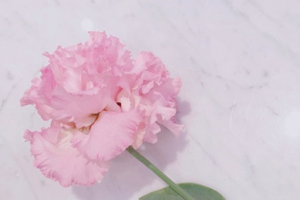 2020青島華諾整形美容醫(yī)院整形價(jià)格表(價(jià)目表)全新發(fā)布