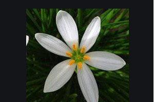 2020青島華廈眼科醫(yī)院整形價格表(價目表)全新發(fā)布