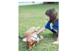 2020東莞美極醫(yī)療美容門診部整形價格表(價目表)全新發(fā)布