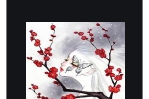 2020深圳恒生醫(yī)院整形美容中心整形價格表(價目表)全新發(fā)布