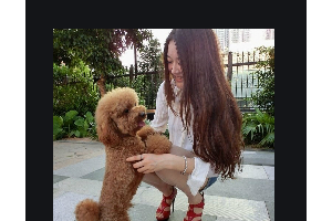 2020武漢美鄴醫(yī)療美容醫(yī)院整形價格表(價目表)全新發(fā)布