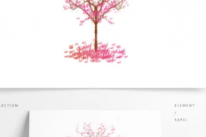 2020大同和平燒傷骨科醫(yī)院整形美容科整形價格表(價目表)全新發(fā)布