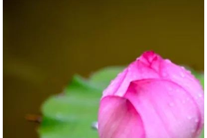 男人為何喜歡豐臀的女人？