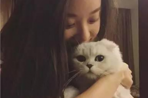 宜昌蕾帝整形美容醫(yī)院阮和平整形價格表附玻尿酸隆鼻案例展示