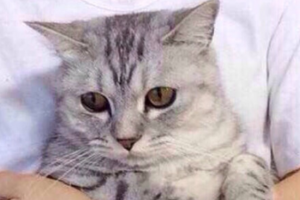 長(zhǎng)沙亞韓醫(yī)學(xué)美容醫(yī)院李凡年整形價(jià)格表附光子嫩膚案例展示