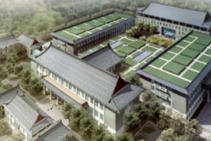 北京八大處熱瑪吉多少錢附手術(shù)恢復(fù)前后分享