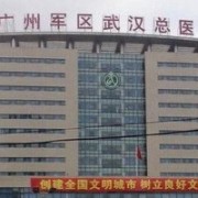 中國(guó)人民解放軍中部戰(zhàn)區(qū)總醫(yī)院皮膚整形美容科